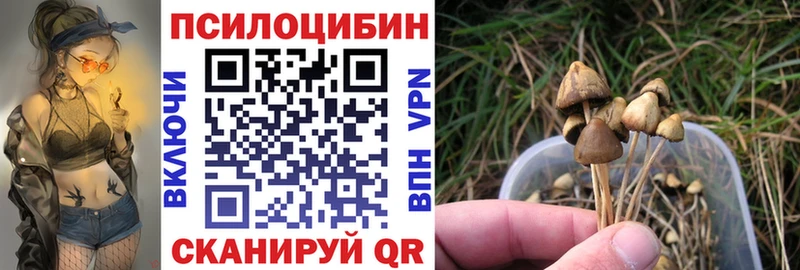 Галлюциногенные грибы Cubensis  Старый Крым 